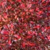 Coprosma Pacific Sunset 2 Coprosma Pacific Sunset -Boutique D'arbustes Coprosma repens Pacific Sunset 88790 1